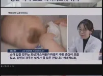 최근 노로 바이러스 근황