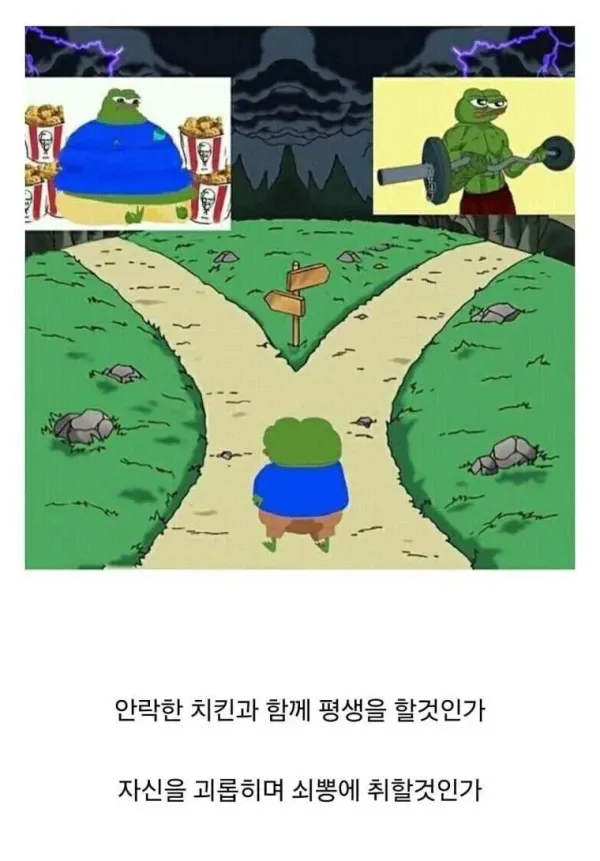 30대가 되면 피할수 없는 선택의 기로