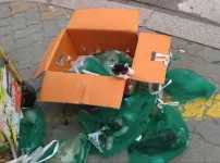 캣맘들 기겁하는 짤