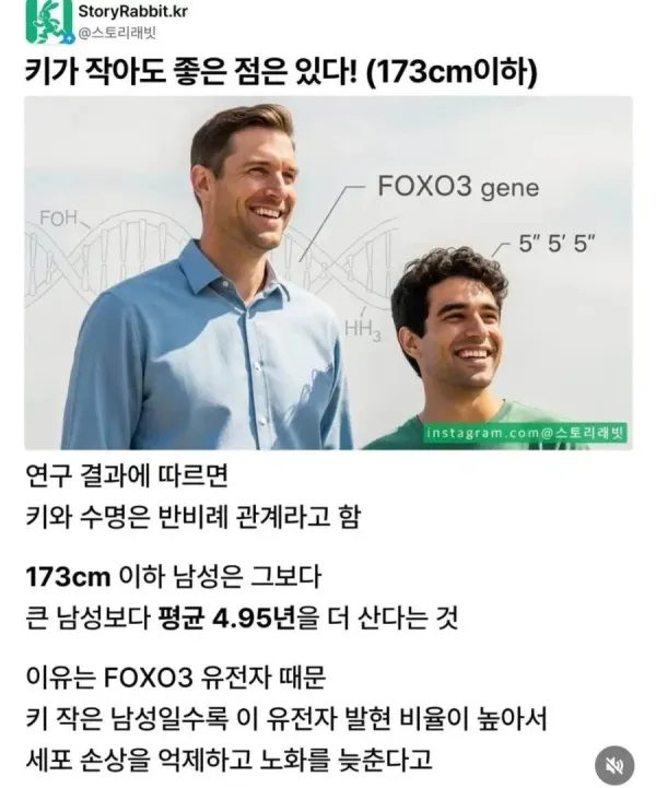 키 작아도 좋은 점 173cm 이하