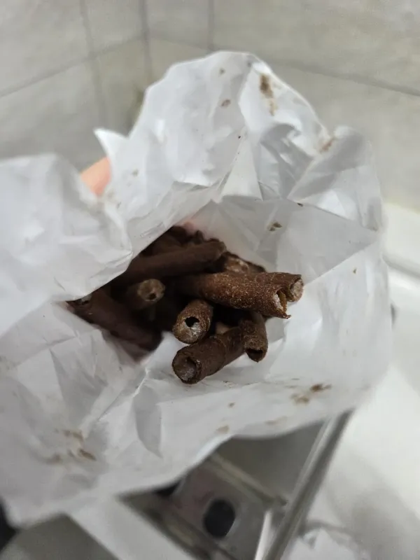 과자 곰팡이 ㅋㅋ
