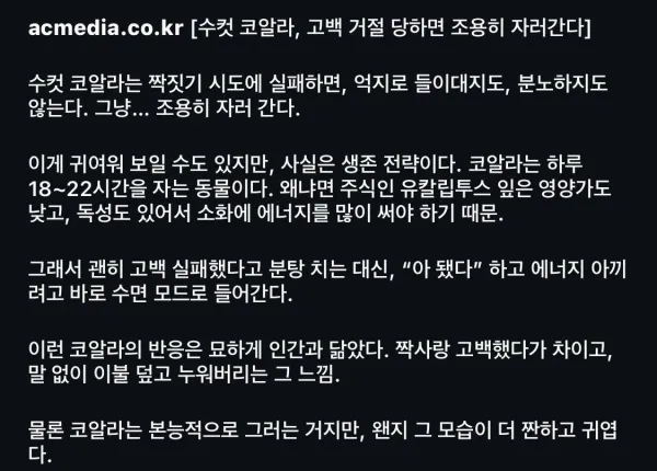 수컷 코알라가 고백 거절당하면 하는 행동