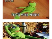 퇴사 전/후 현실
