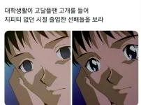 대학 생활이 고달플땐 고개를 들어