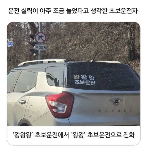 운전실력 아주 조금 늘었다고 생각한 초보운전자