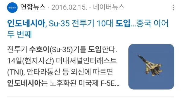 인도네시아 공군 근황