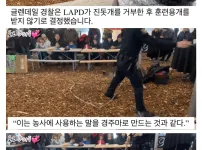 진돗개가 경찰견으로 거부된 이유