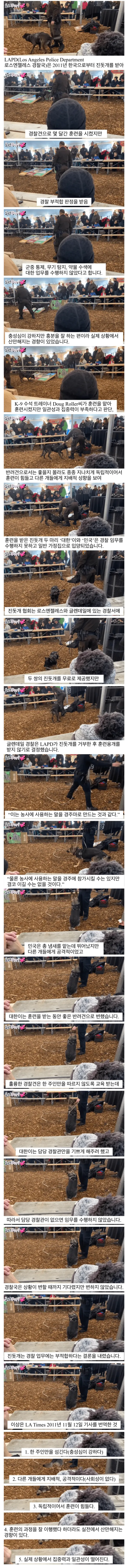 진돗개가 경찰견으로 거부된 이유