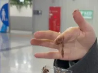 지하상가 두쫀쿠