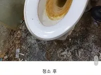 집 청소업체 100만원 넘는 의뢰