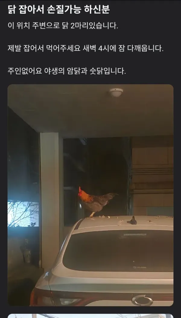 명절 당근 무나 ㄷㄷ