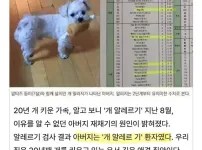 20년간 키운 반려견