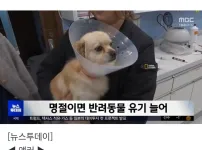 설, 추석마다 반려견이 유기되는 장소..jpg