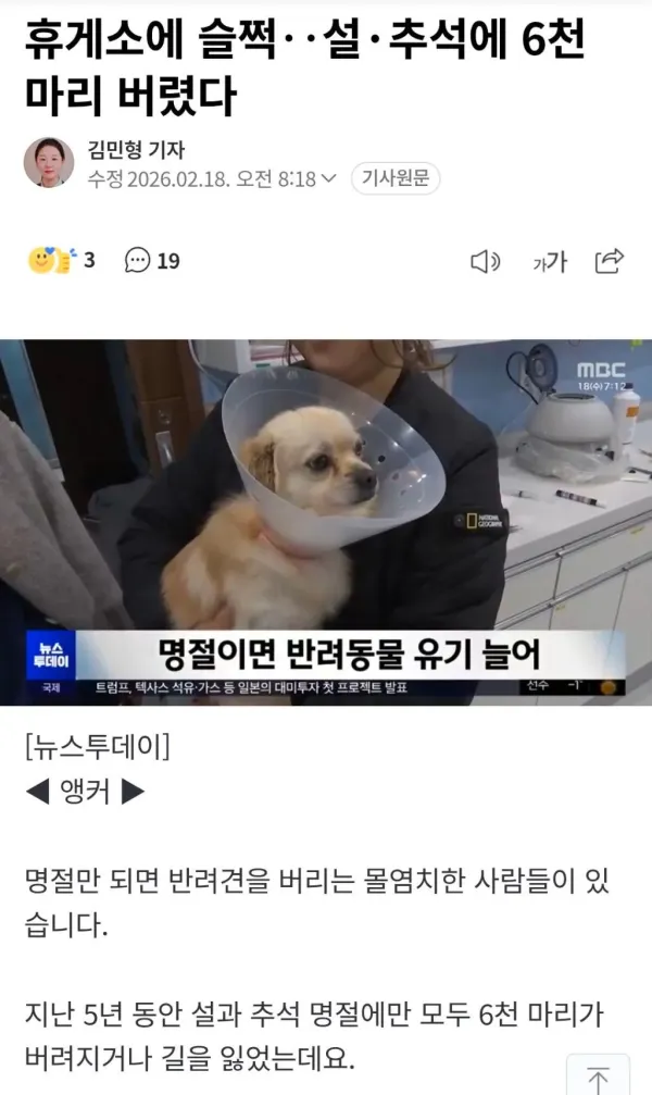 설, 추석마다 반려견이 유기되는 장소..jpg