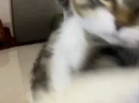 맞짱깔사람