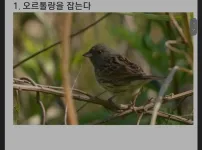 프랑스 식용이 금지된 악마의 요리..