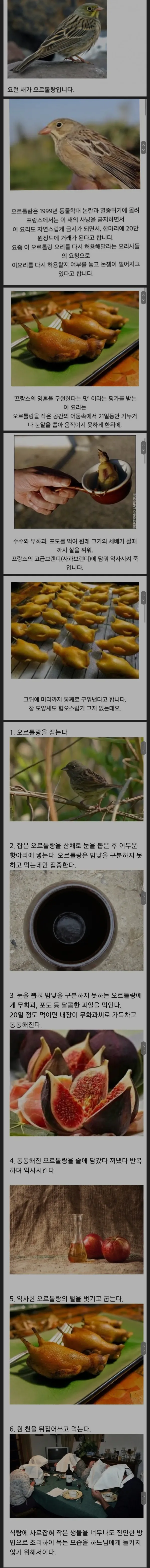 프랑스 식용이 금지된 악마의 요리..
