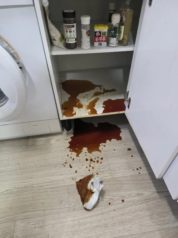 아 시발 ㅈ됨
