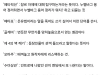 영화 평론가들이 쓰는 고상한 단어 해석