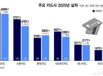 국내 주요 카드사 작년 실적