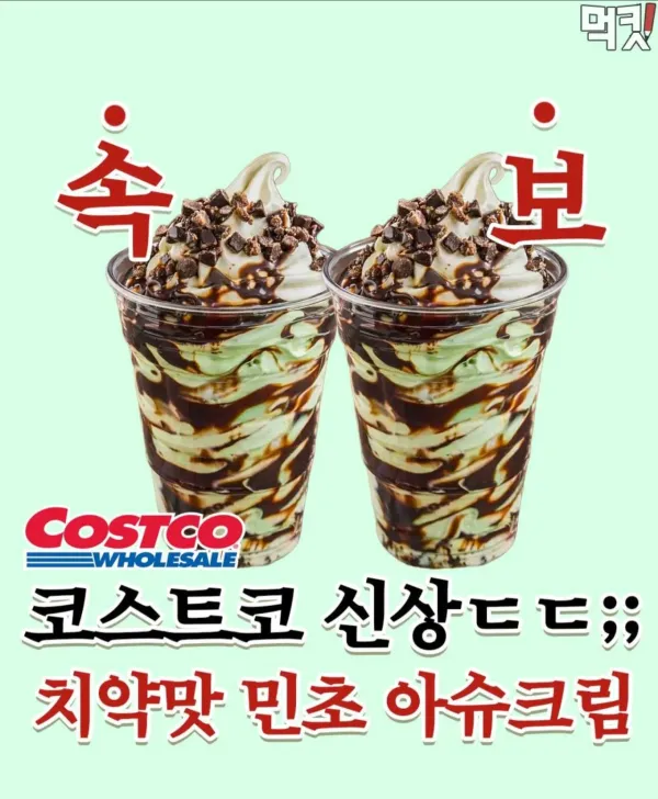코스트코에서 새로 나온 신제품