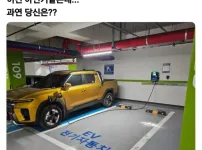 장애인 등록 전기차