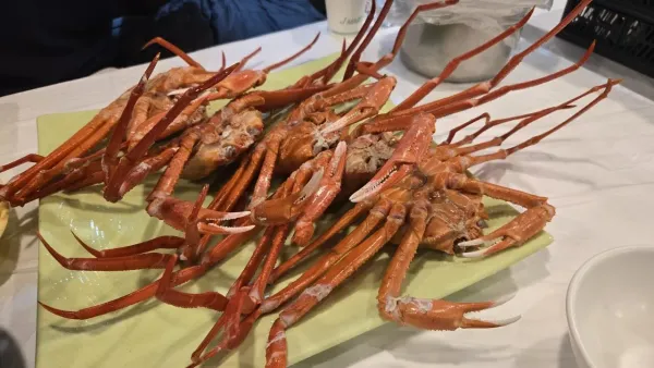 속초 여행