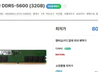 격이 다른 램 가격 상승