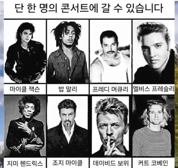 단 한명의 콘서트만 갈수있습니다