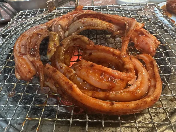 꼼장어