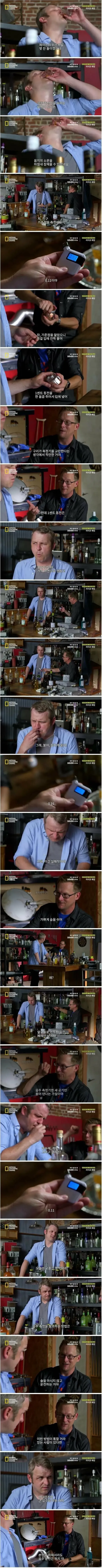 음주운전 안걸리는 개꿀팁
