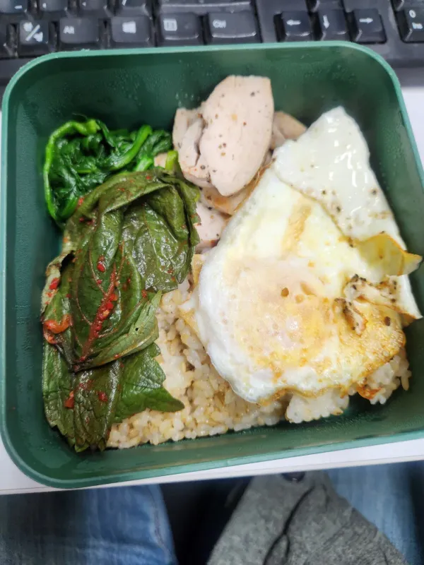 도시락 모음집