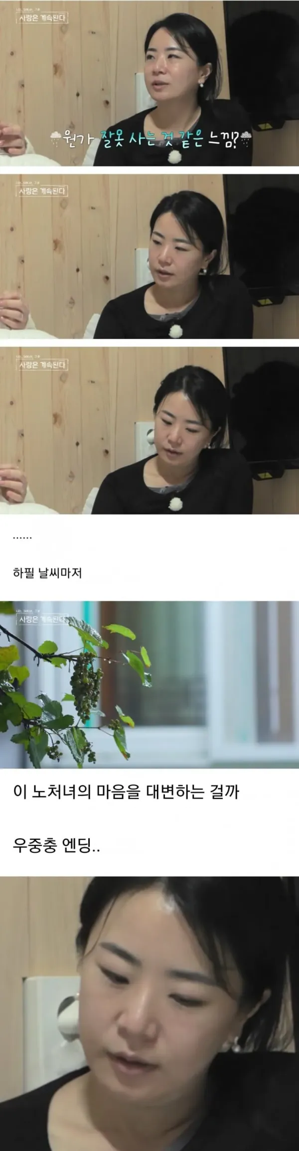 혼기 놓친 40세 노처녀의 애환