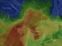 완전 중국화된 한국 대기근황