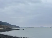 드라이브 하다가 바다