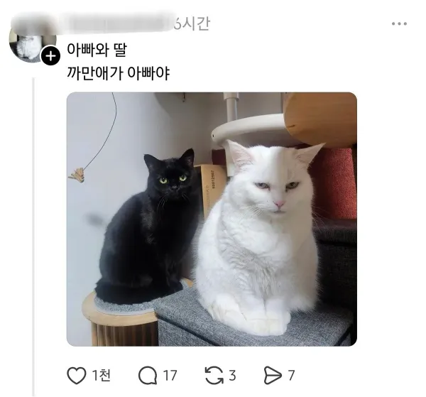 여전히 납득이 안 되는 사실