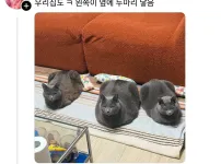여전히 납득이 안 되는 사실