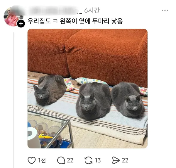 여전히 납득이 안 되는 사실