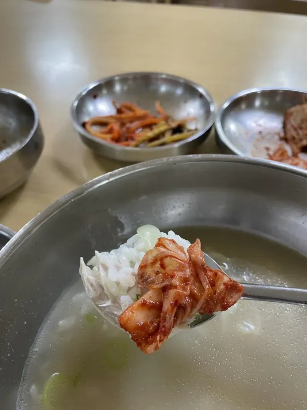 만원 닭반마리칼국수로 첫끼