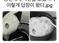 남편에게 사진을 보냈더니 이렇게 답장이 왔다.jpg