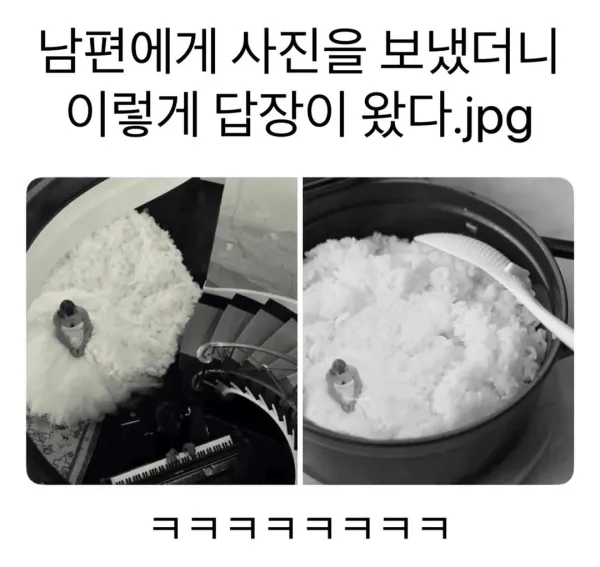남편에게 사진을 보냈더니 이렇게 답장이 왔다.jpg