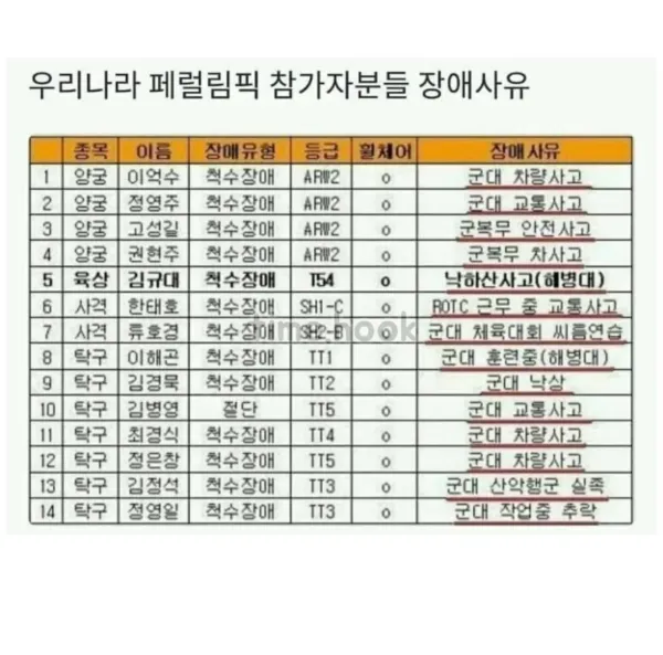 패럴림픽 참가자 장애사유