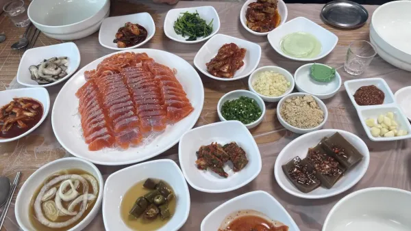 송어회 먹고싶다..