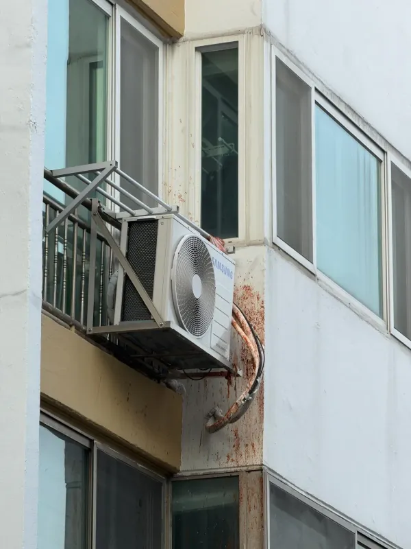 명절에 김치 폭탄 맞았다