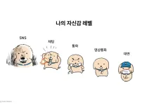 매체별 자신감 레벨 
