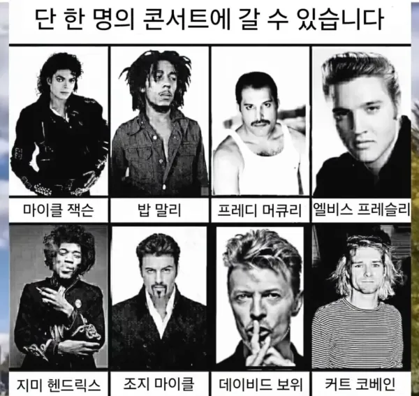단 한명의 콘서트를 갈 수 있다면?