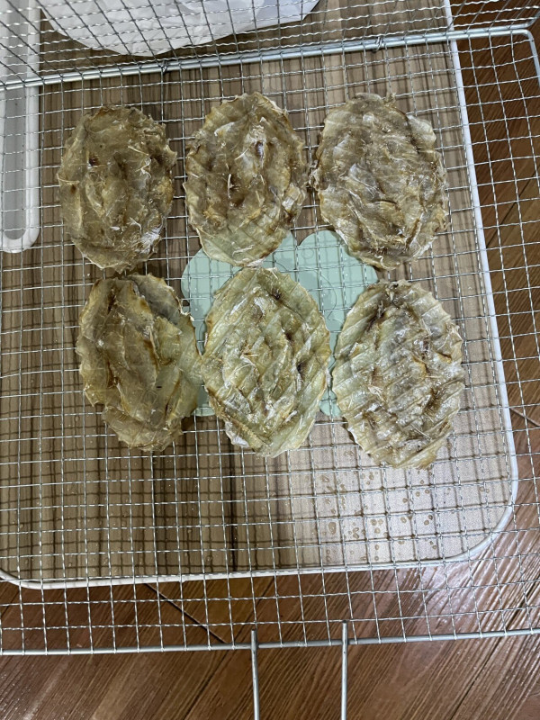 이런것도 좋아 하시나요??