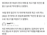 실수로 개고기를 먹은 외국인