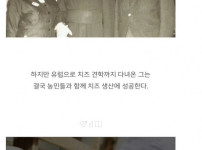 한국 치즈의 숨겨진 비밀