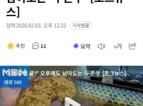 또 유행 절단 낸 전현무